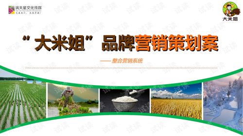 大米姐品牌營(yíng)銷策劃案商業(yè)計(jì)劃書精品模板.ppt